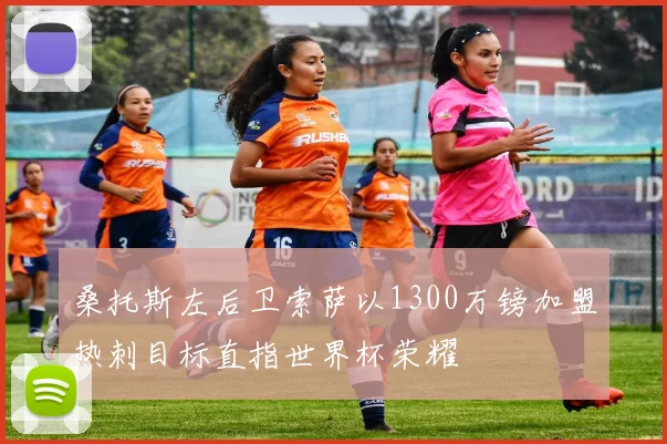 桑托斯左后卫索萨以1300万镑加盟热刺目标直指世界杯荣耀