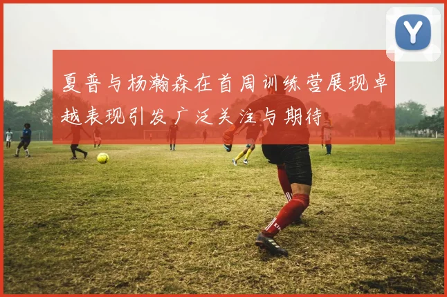 夏普与杨瀚森在首周训练营展现卓越表现引发广泛关注与期待