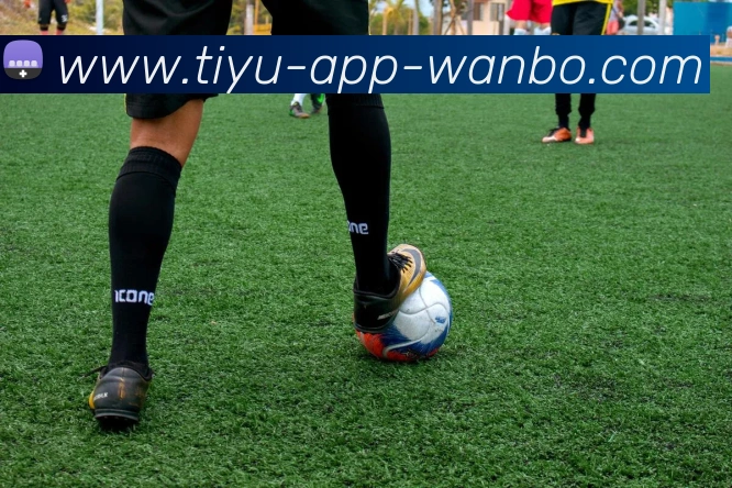 万博体育APP 封面图